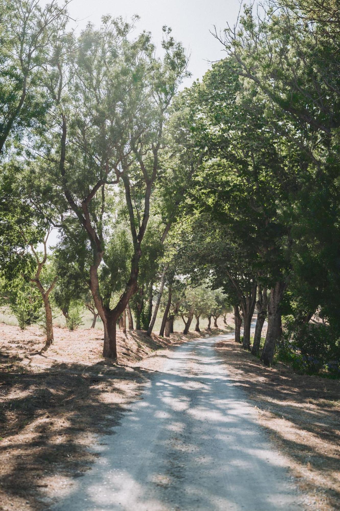הוילה ססימברה Casa De Calhariz מראה חיצוני תמונה