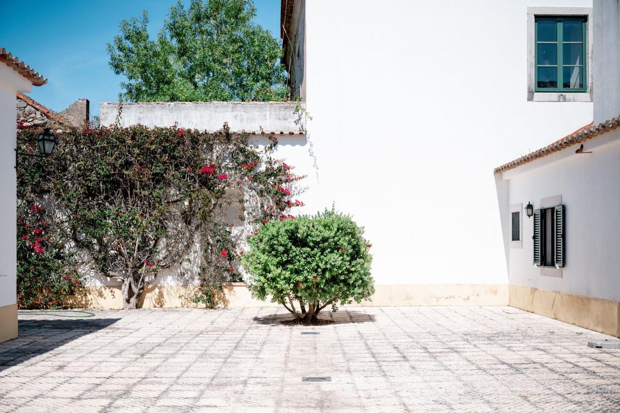 הוילה ססימברה Casa De Calhariz מראה חיצוני תמונה